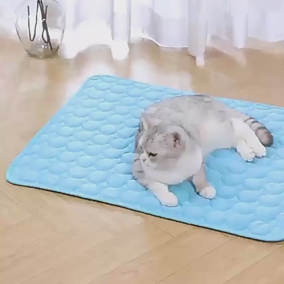 Load video: 