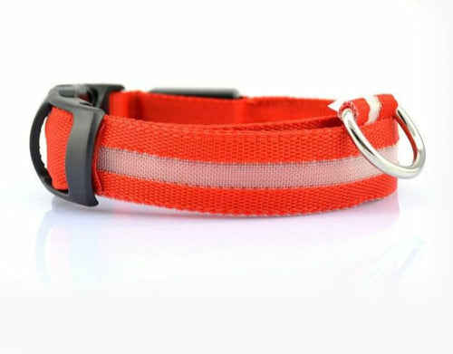 Lot de 2 colliers de chien LED en nylon