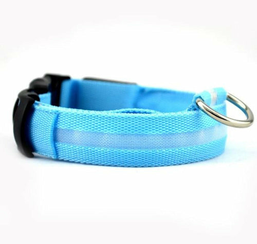 Lot de 2 colliers de chien LED en nylon