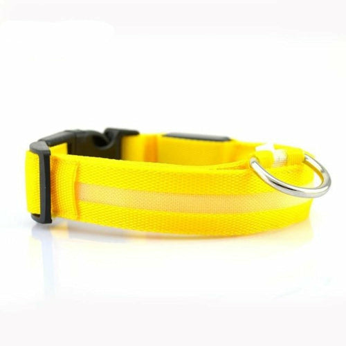 Lot de 2 colliers de chien LED en nylon
