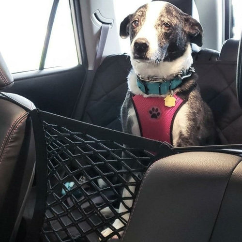 Pétition pour un filet de voiture haut de gamme de haute qualité pour animaux de compagnie