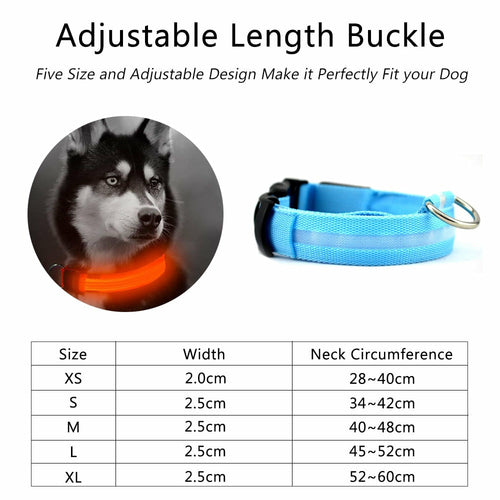 Lot de 2 colliers de chien LED en nylon