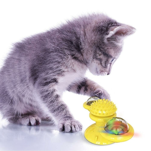 Balles LED tournantes pour chats