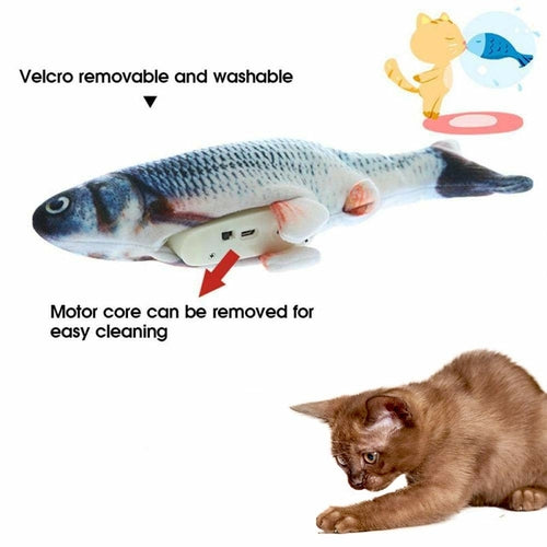 Jouet de poisson électrique interactif pour chats