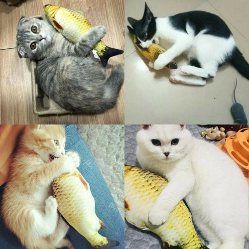 Jouet de poisson électrique interactif pour chats